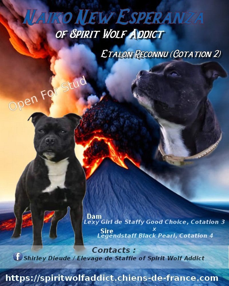 Naiko new esperanza of Spirit Wolf Addict