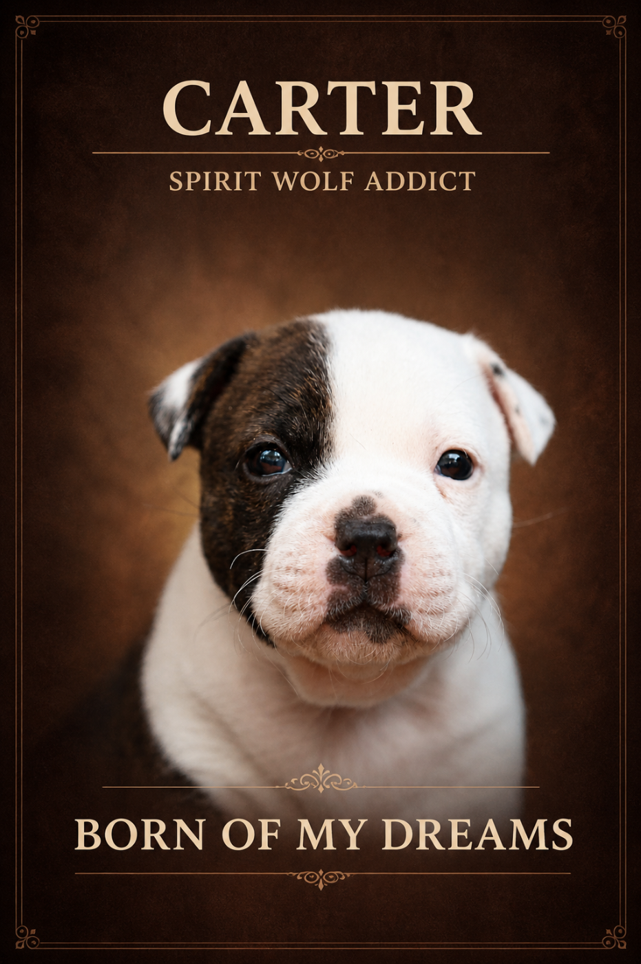 Born of My Dreams aka Carter of Spirit Wolf Addict
